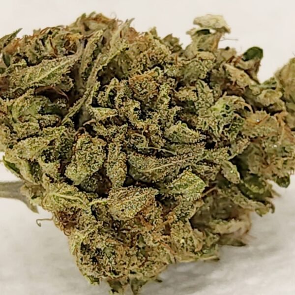 Lemon Pound Chocolate Cake - Sativa - 31 THC