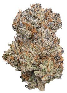 Permanent Marker - 34 % THC - Indica