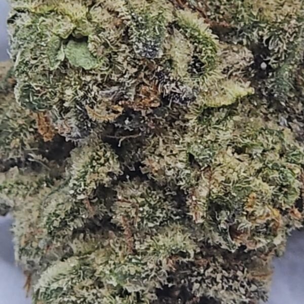 Gelato 42 X London Poundcake - Hybrid - Indoor 32 % THC