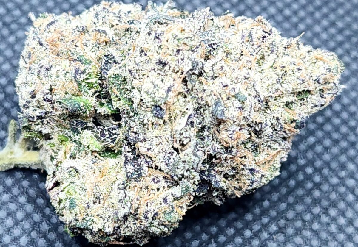 Gusher Runtz - Indica 28% THC