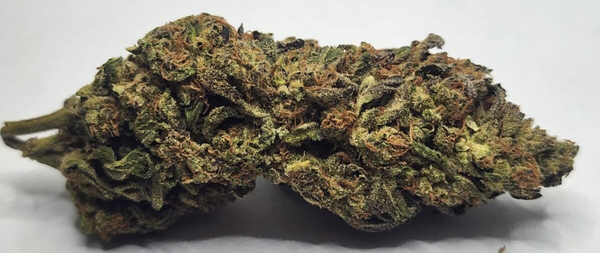 Oasis - Indoor - Indica 31% THC