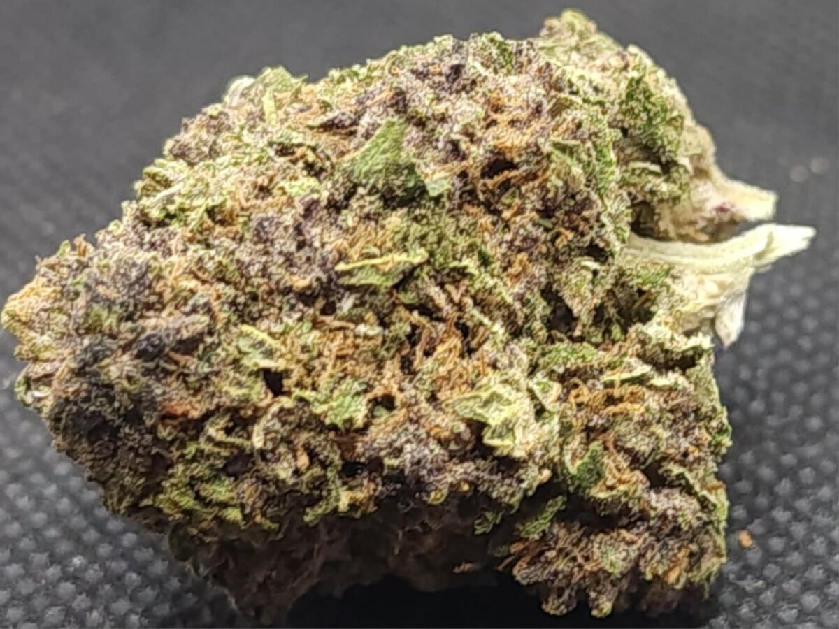 Purple Pop Tart - Indoor - Indica -32% THC