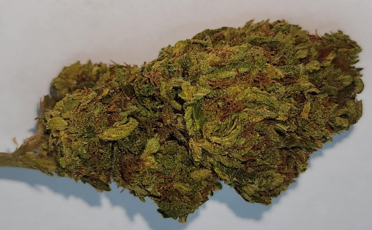 Purple Lemonade - Indica - 27 % THC