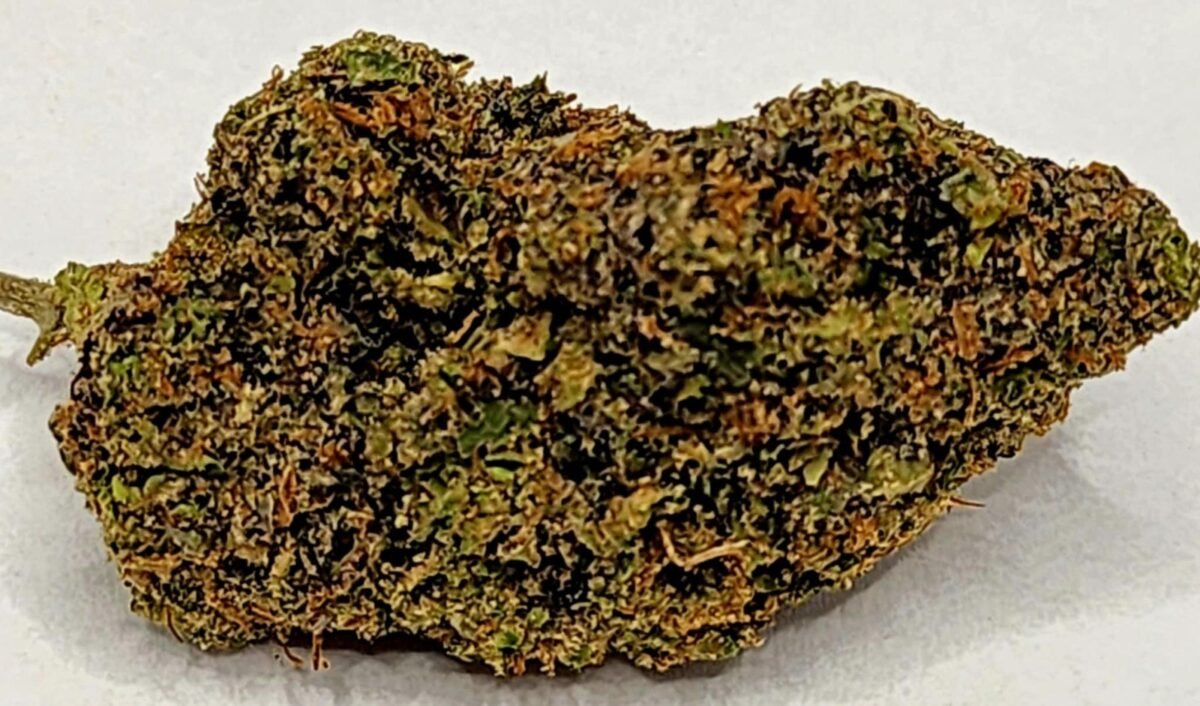 Sherbert X Headband - Indoor - Hybrid 30% THC