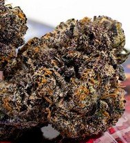 Lex Luther - Hybrid - 31% THC - Indoor
