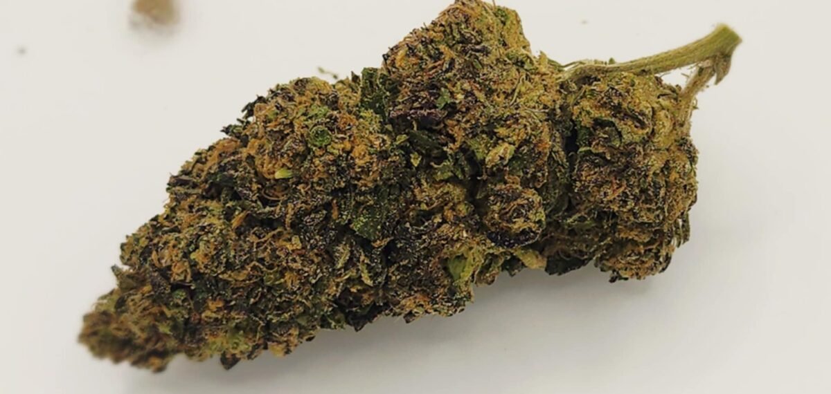 Pink Punch - Indica - 30% THC - INDOOR