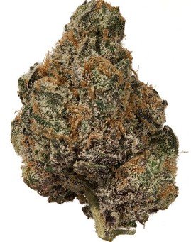 Grape Crush - Indica 32 % - Indoor