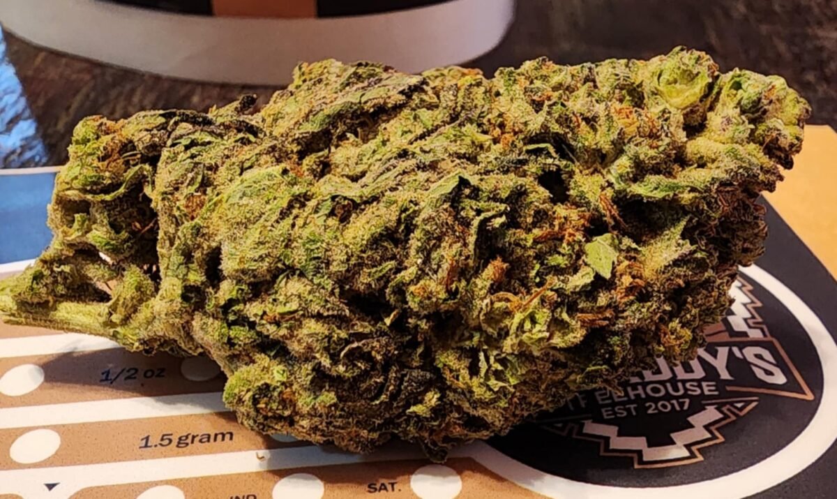Lemon Pie - Indica - 32 %