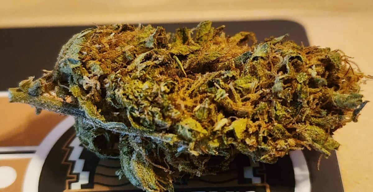 Octane Bloom - Sativa - 28% THC