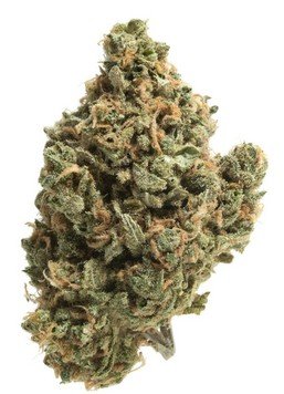 Guava Berry - Indica 30% THC