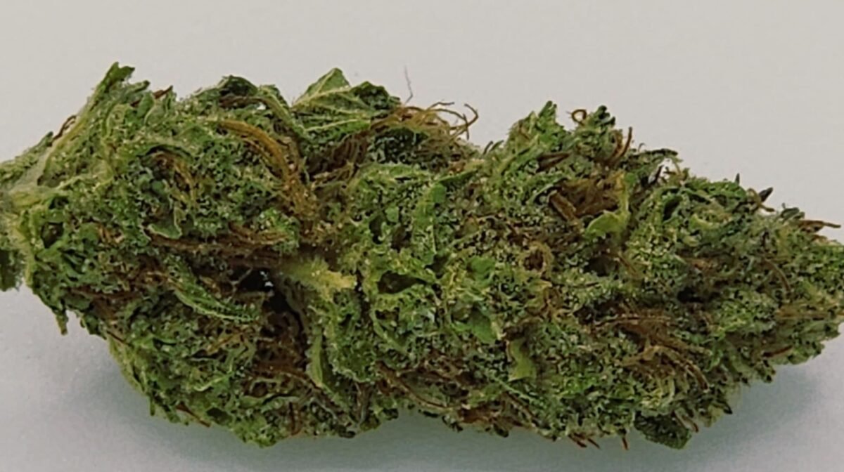 Apple Mochi 🍏🍡- Hybrid 31% THC