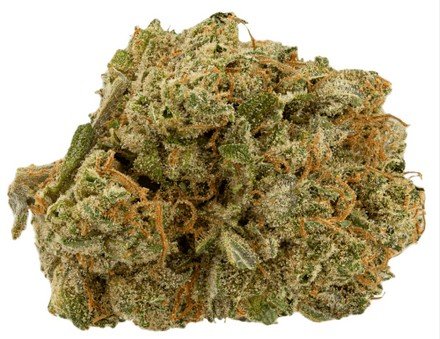 Blue Bandit - Hybrid - 30%
