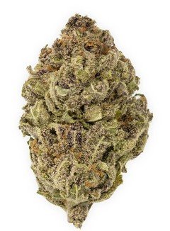 Blue Cheese - Sativa-dominant - 30%