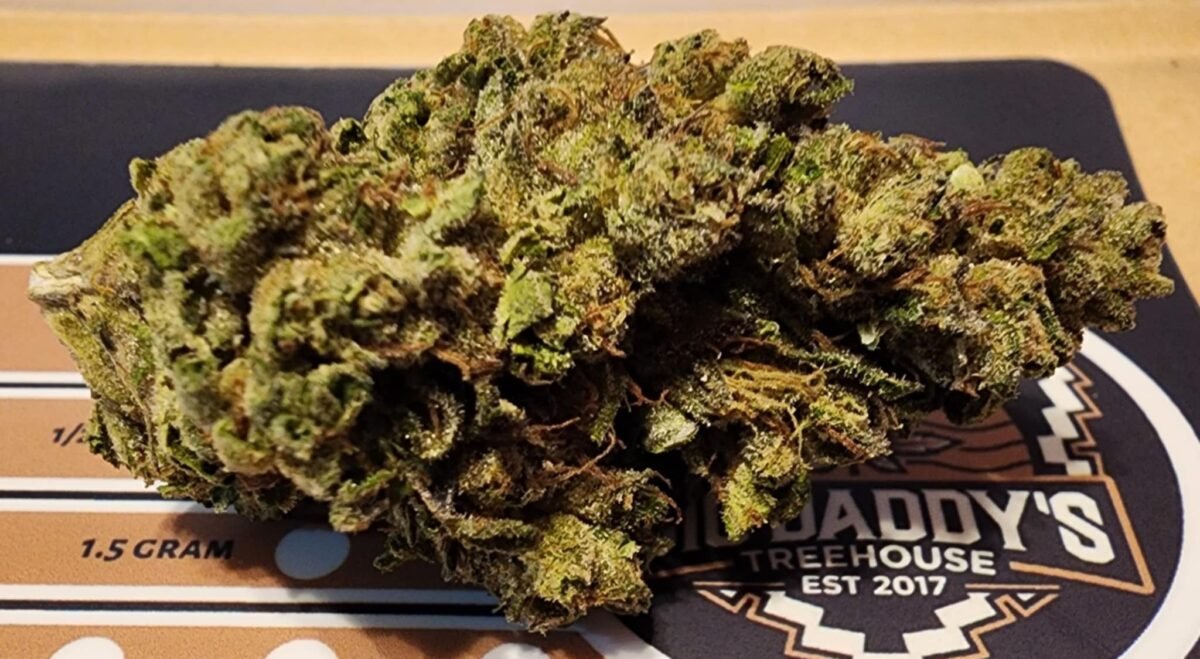 Pinnacle Kush - Hybrid - 31 % THC