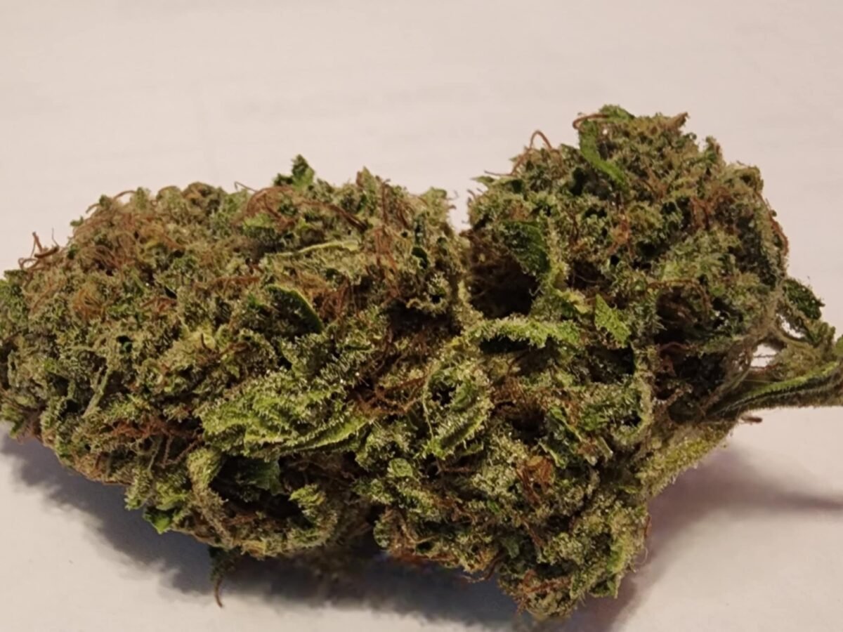 Xenon -Hybrid - 30% THC