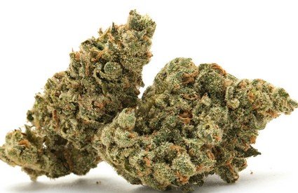 Apricot Octane - Hybrid -29%THC