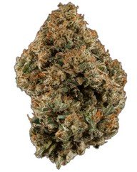 Pipe Dream - Sativa - 29% THC