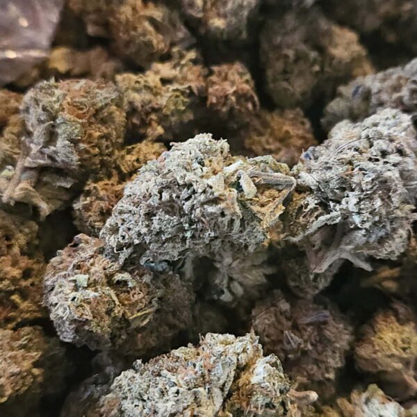 Cereal Milk - Hybrid - 30% THC