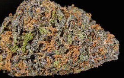 Grandaddy Blueberry 34%THC - Indica - Indoor