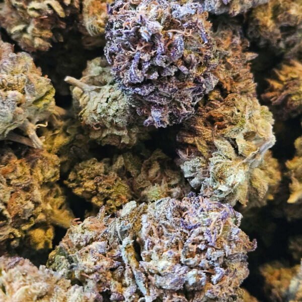 Oreoz - Indica 31 % THC