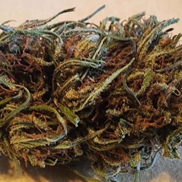 Lightly trimmed - Kandy Krush Strain - Hybrid -29% THC