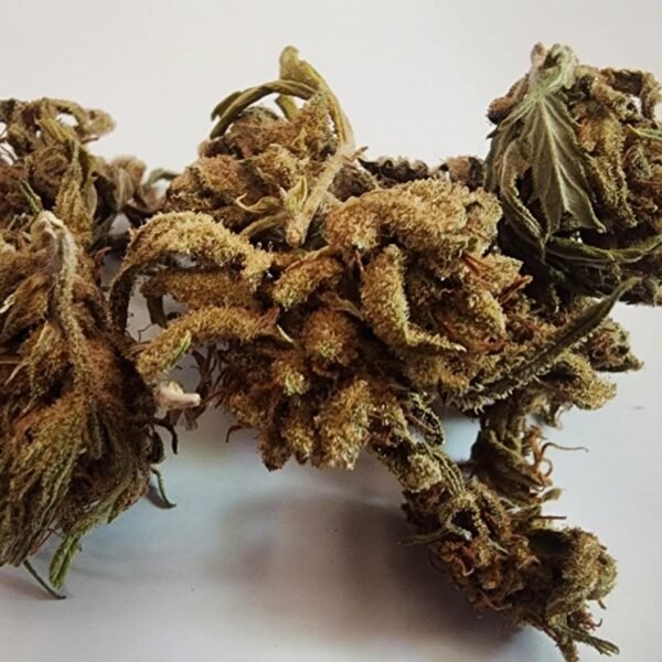 Lightly Trimmed Sour Patch - Sativa 29%THC