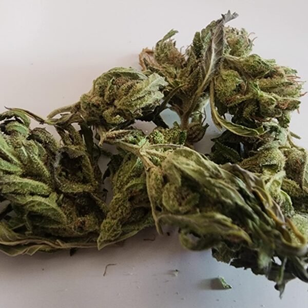 Lightly Trimmed Blue Cheese - Sativa 30% THC