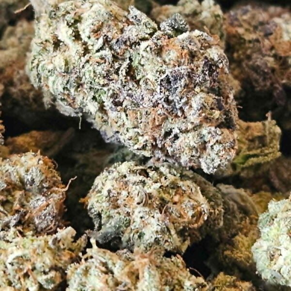 Gelato -Indica -32% THC - Indoor