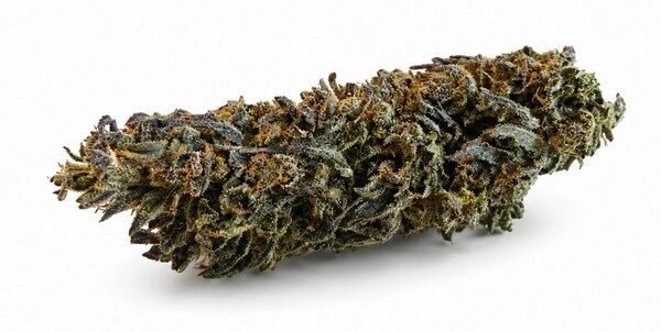 Purple Moonshine - Indica 31%THC