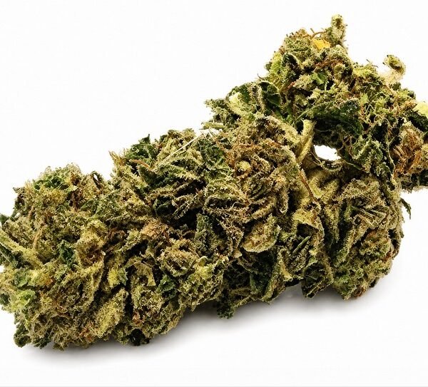 Animal Gelato - Indica - 30% THC