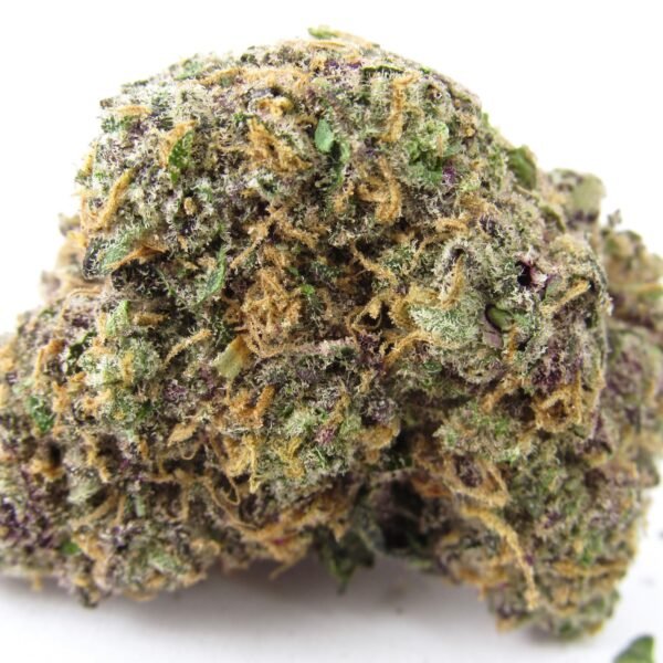 Zootopia - Indoor Indica 32%